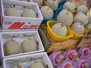 2008/05/17-�{���̔����ł�_25