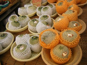 2008/05/17-�{���̔����ł�_28