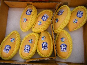 2008/05/17-�{���̔����ł�_29