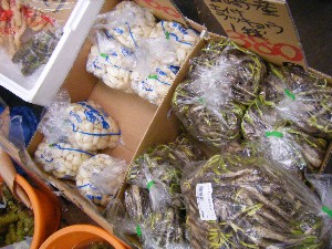 2008/05/17-�{���̔����ł�_32