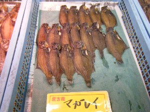 2008/05/17-�{���̔����ł�_42