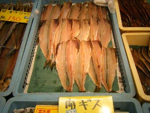 2008/05/17-�{���̔����ł�_46