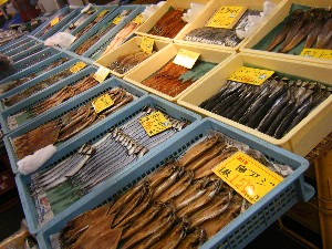 2008/05/17-�{���̔����ł�_47