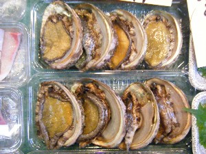 2008/05/17-�{���̔����ł�_50