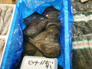 2008/05/17-�{���̔����ł�_56