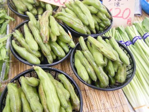 20080524-�{���̔����ł�-_5
