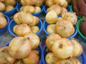 20080524-�{���̔����ł�-_10