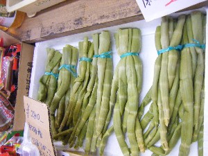 20080524-�{���̔����ł�-_23