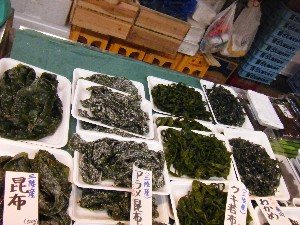 20080524-�{���̔����ł�-_33