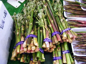 20080531-�{���̔����ł�-_3