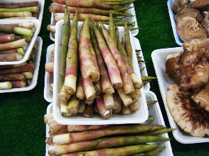 20080531-�{���̔����ł�-_6