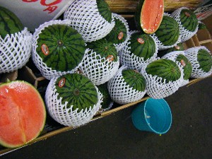 20080531-�{���̔����ł�-_18