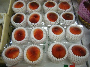 20080531-�{���̔����ł�-_19