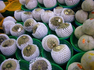 20080531-�{���̔����ł�-_22