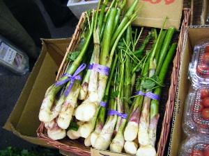 20080531-�{���̔����ł�-_28