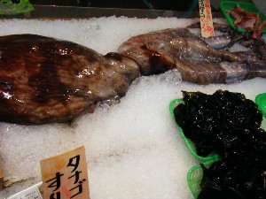 20080531-�{���̔����ł�-_30