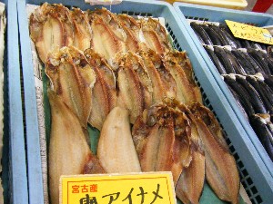20080531-�{���̔����ł�-_32