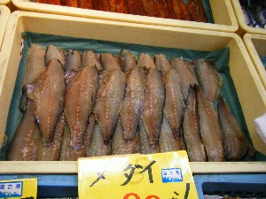 20080531-�{���̔����ł�-_33
