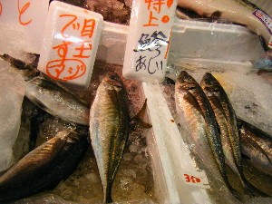 20080531-�{���̔����ł�-_39