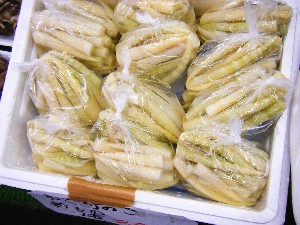 20080607-�{���̔����ł�-_3