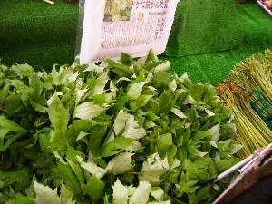 20080607-�{���̔����ł�-_7