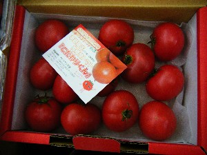 20080607-�{���̔����ł�-_12