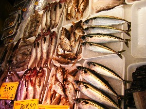 20080607-�{���̔����ł�-_36