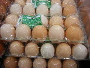 20080607-�{���̔����ł�-_42