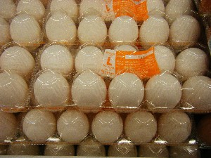 20080607-�{���̔����ł�-_44