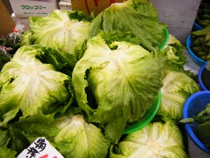 20080607-�{���̔����ł�-_53