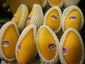 20080607-�{���̔����ł�-_54