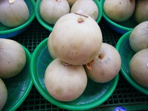 20080607-�{���̔����ł�-_1