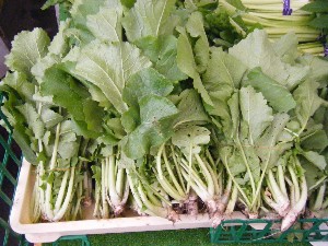 20080607-�{���̔����ł�-_1