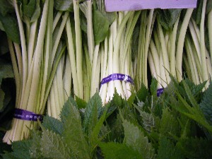 20080607-�{���̔����ł�-_4