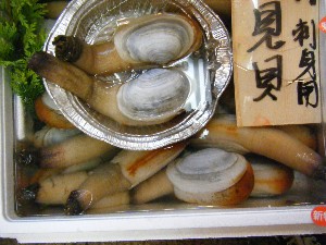 20080607-�{���̔����ł�-_39