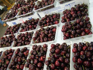 20080621-�{���̔����ł�-_10