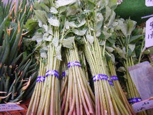 20080621-�{���̔����ł�-_17