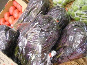 20080621-�{���̔����ł�-_24