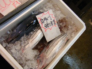 20080621-�{���̔����ł�-_30