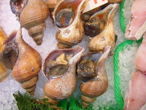 20080621-�{���̔����ł�-_32