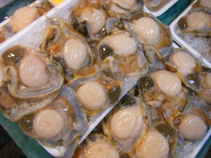 20080621-�{���̔����ł�-_34