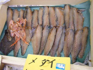 20080621-�{���̔����ł�-_38