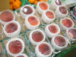 20080621-�{���̔����ł�-_47