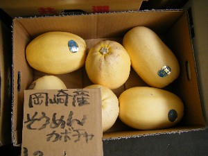 20080705-�{���̔����ł�-_7