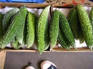 20080705-�{���̔����ł�-_8