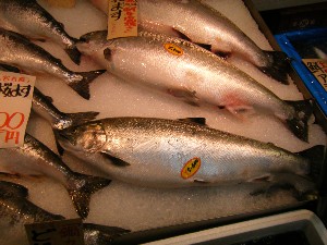 20080705-�{���̔����ł�-_17