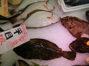 20080705-�{���̔����ł�-_20