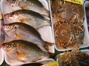20080705-�{���̔����ł�-_24