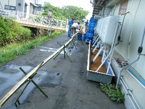 20080705-�{���̔����ł�-_2
