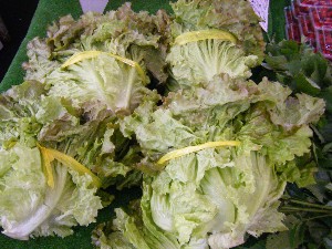 20080712-�{���̔����ł�-_56
